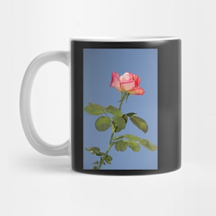 Beautiful rose flower Mug